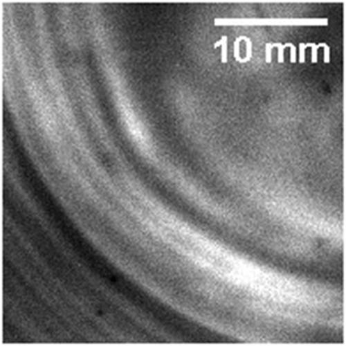 10.1002/pip.2954 picture