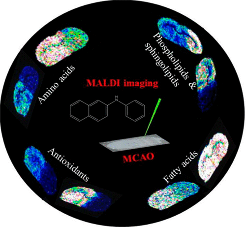 10.1021/acs.analchem.7b02710图片