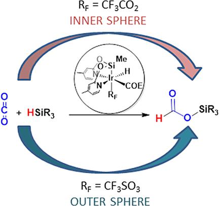10.1002/chem.201702246图片