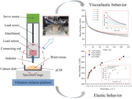 10.1016/j.jmbbm.2018.03.031图片