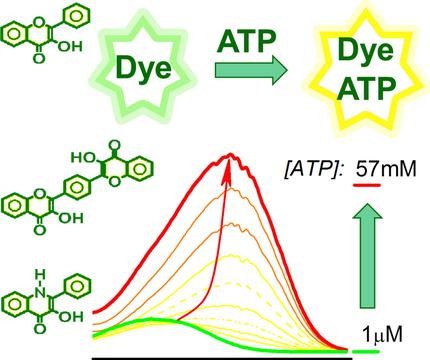 10.1002/chem.201702484图片