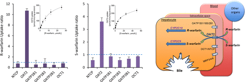 10.1021/acs.molpharmaceut.7b01108 picture