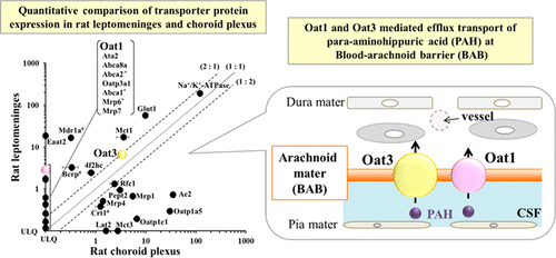 10.1021/acs.molpharmaceut.7b00852 picture