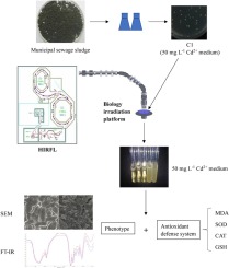 10.1016/j.jhazmat.2018.03.036 picture
