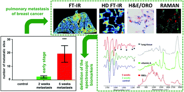 10.1039/C7AN01883E picture