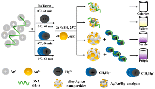 10.1021/acs.analchem.8b01100图片