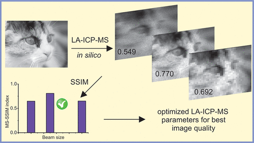 10.1021/acs.analchem.8b00751图片