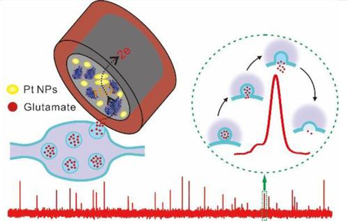 10.1002/elan.201700656图片