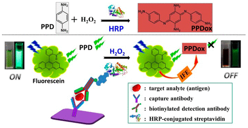 10.1021/acssensors.7b00830 picture