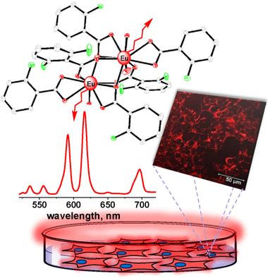 10.1002/chem.201703543图片