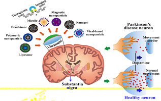 10.1016/j.jconrel.2017.07.004图片