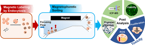 10.1021/acs.analchem.7b03875图片