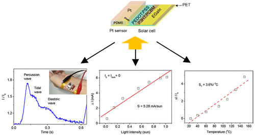 10.1021/acssensors.7b00690 picture