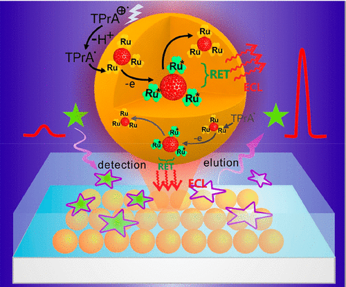 10.1021/acs.analchem.7b05074图片