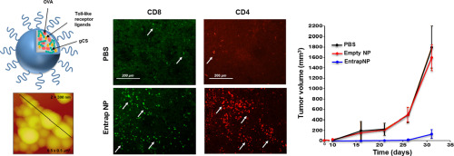 10.1016/j.nano.2017.12.011 picture