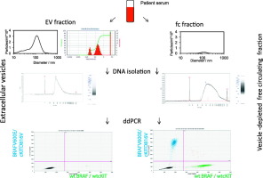 10.1016/j.nano.2017.12.009 picture