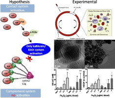 10.1016/j.nano.2017.12.008 picture