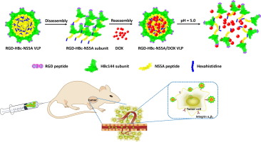 10.1016/j.nano.2017.12.002 picture