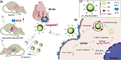 10.1016/j.nano.2017.12.004 picture