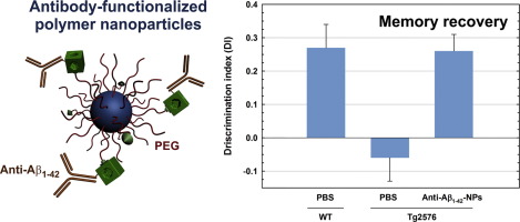 10.1016/j.nano.2017.12.006 picture