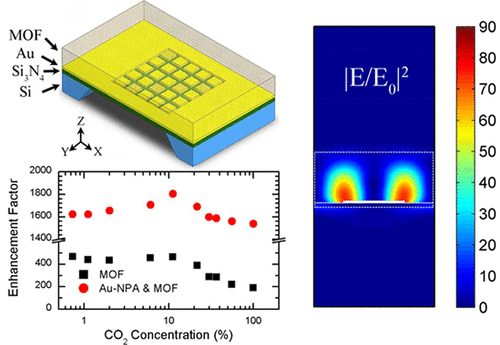 10.1021/acssensors.7b00891 picture