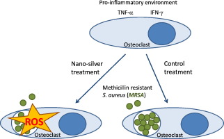 10.1016/j.nano.2017.11.006 picture