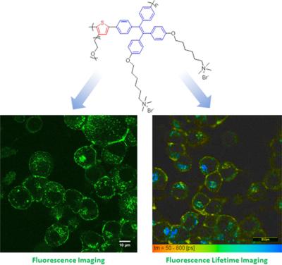 10.1002/pola.28943图片