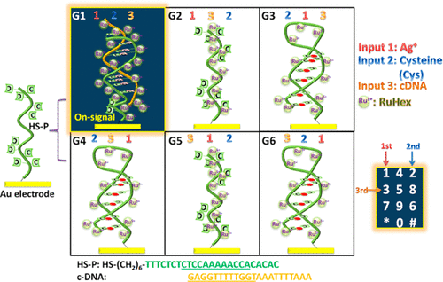 10.1021/acssensors.7b00735 picture