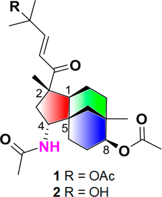 10.1021/acs.orglett.8b00842图片