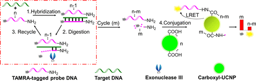 10.1021/acs.analchem.7b04240图片