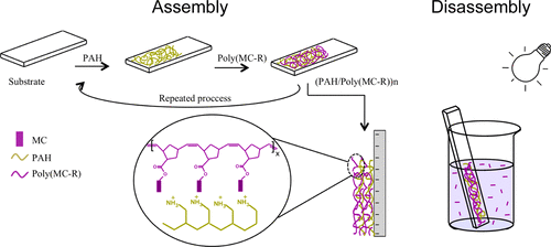 10.1021/acs.langmuir.8b00137 picture