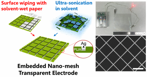 10.1021/acsnano.7b00229 picture
