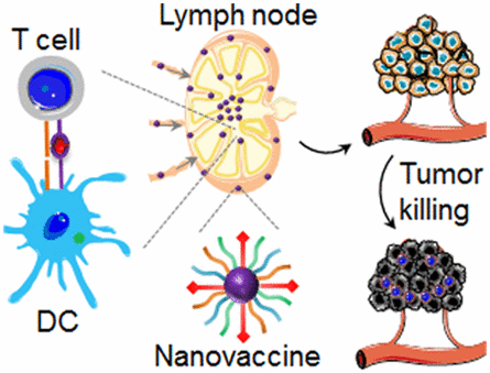 10.1021/acsnano.7b00978图片