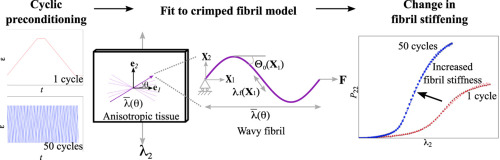 10.1016/j.jmbbm.2018.03.027图片