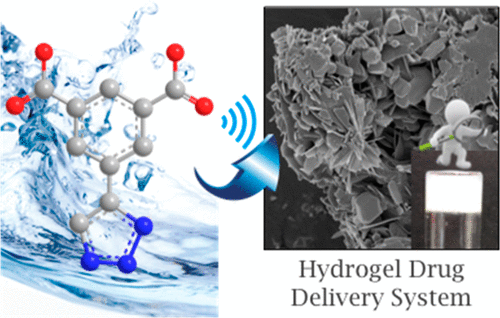 10.1021/acs.molpharmaceut.7b01049 picture