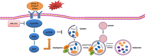 10.1021/acs.molpharmaceut.8b00121图片