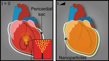 10.1016/j.jconrel.2017.07.012图片